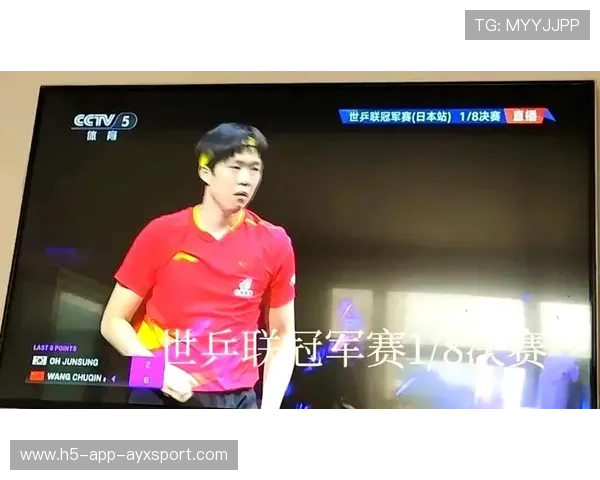 王楚钦海口三局横扫对手，正手进攻成功率百分之九十五获胜