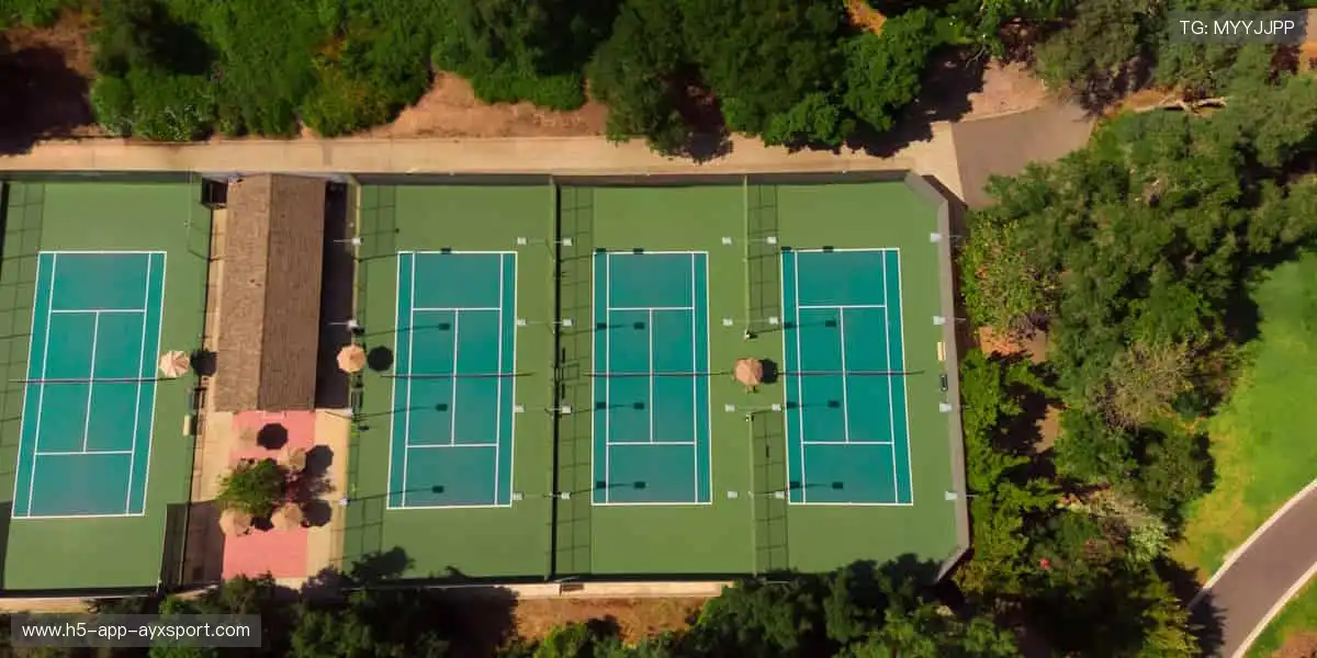 巅峰对决，心跳与赛事同频！💥⚡